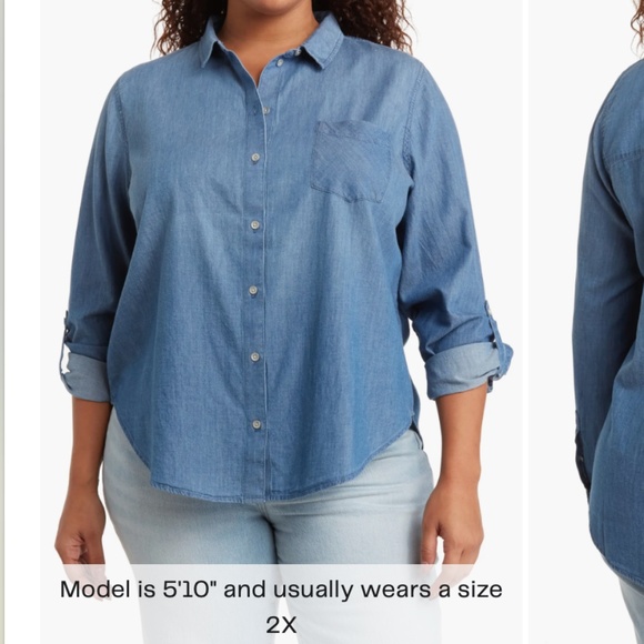 Caslon Plus Chambray Long Sleeve Button-Up Shirt • 3X (22W-24W) - Picture 1 of 6